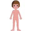 4 Puzles Educativos El Cuerpo Humano