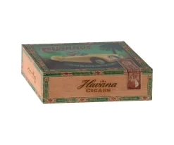 Abuela y Abuelo Ratón en Caja