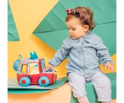 Actividades Safari en Coche