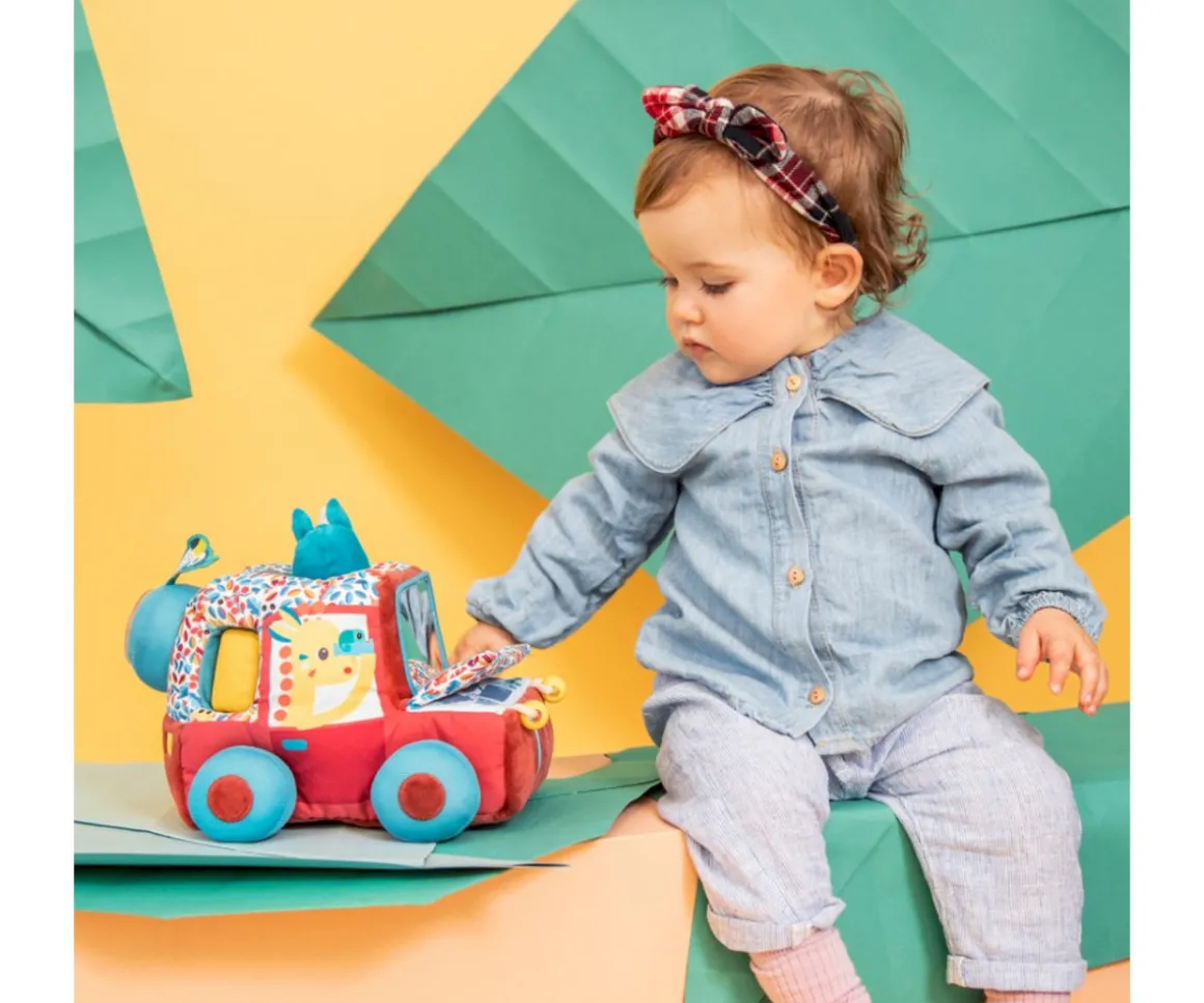 Actividades Safari en Coche