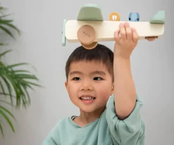 Avión Madera Animales