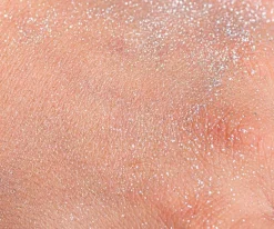 Brocha & Polvos Brillantes Plata