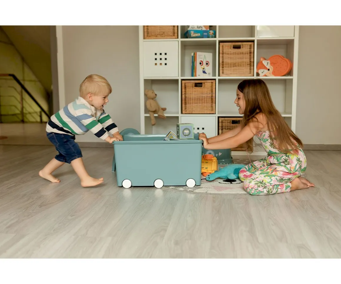 Caja Multifunción Gris