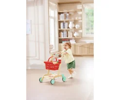 Carrito y Cesta del Pequeño Comprador