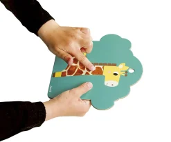 Cartas Táctiles Sabana