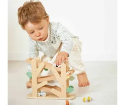 Circuito de Hormigas Sweet Cocoom