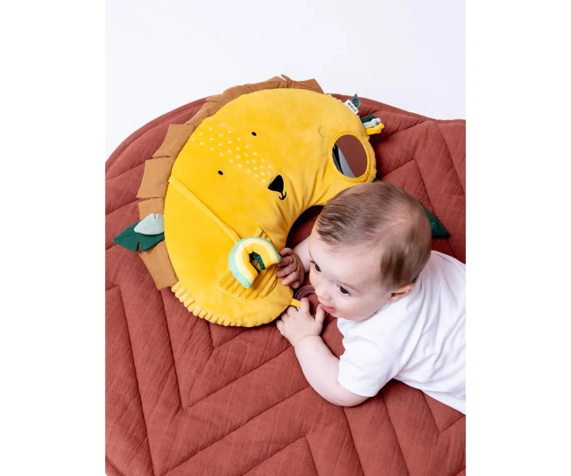 Cojín de Actividades Mr. Lion