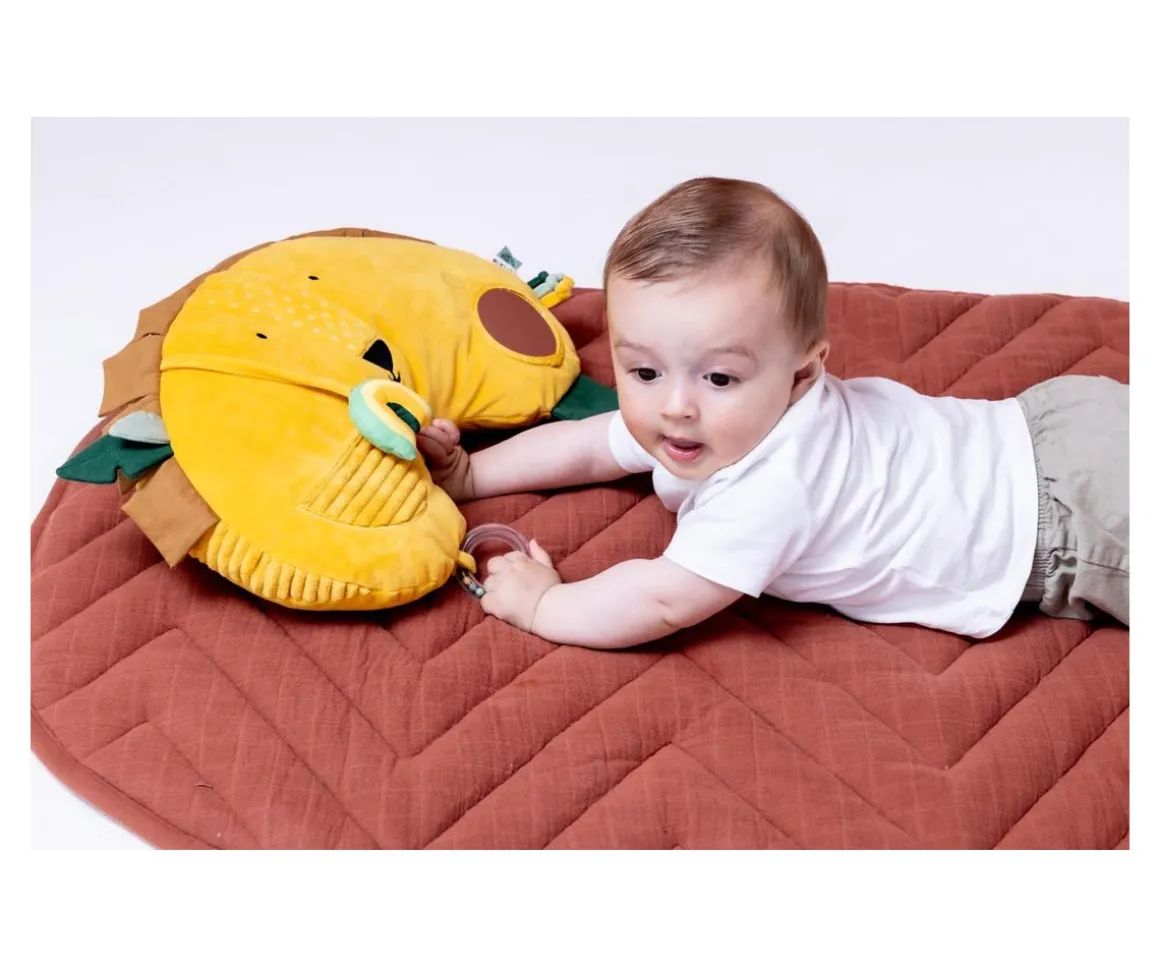 Cojín de Actividades Mr. Lion