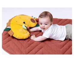 Cojín de Actividades Mr. Lion