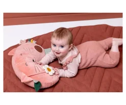 Cojín de Actividades Mrs. Cat