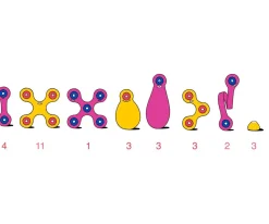 Crew Pack - Blue / Green 30 Piezas