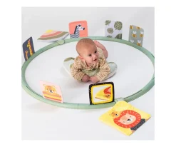 Entrenador de Actividades Boca Abajo