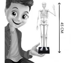 Esqueleto 45 cm