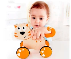 Gatito Dante Push And Go