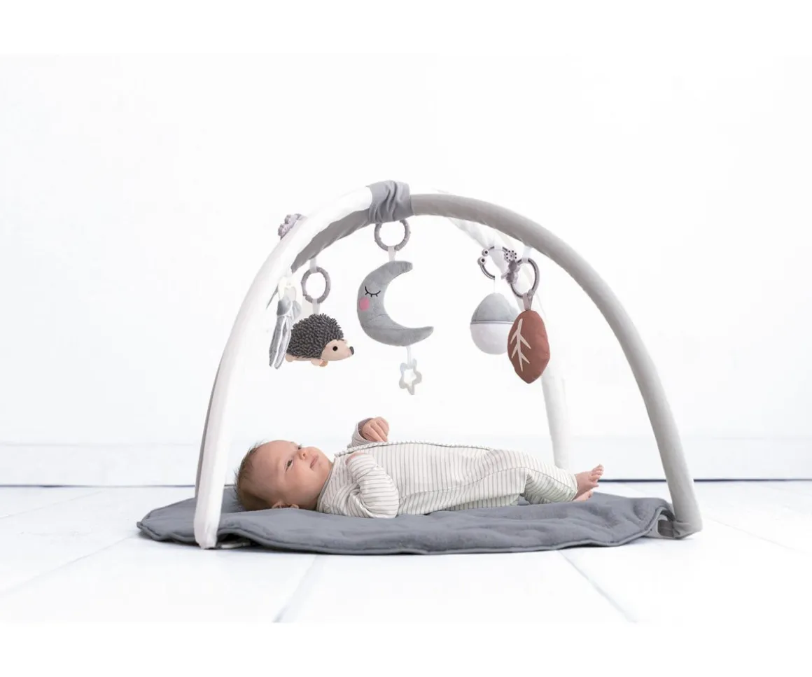 Gimnasio de Actividades Grey