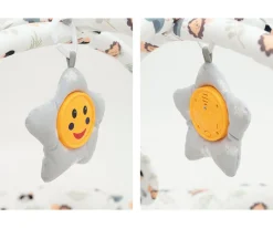 Gimnasio de Actividades Lion