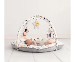 Gimnasio de Actividades Lion