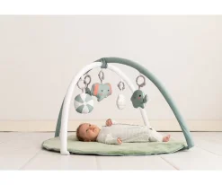 Gimnasio de Actividades Mint