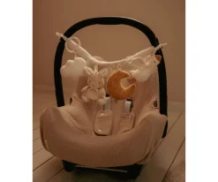 Juguete Carrito Newborn Naturals