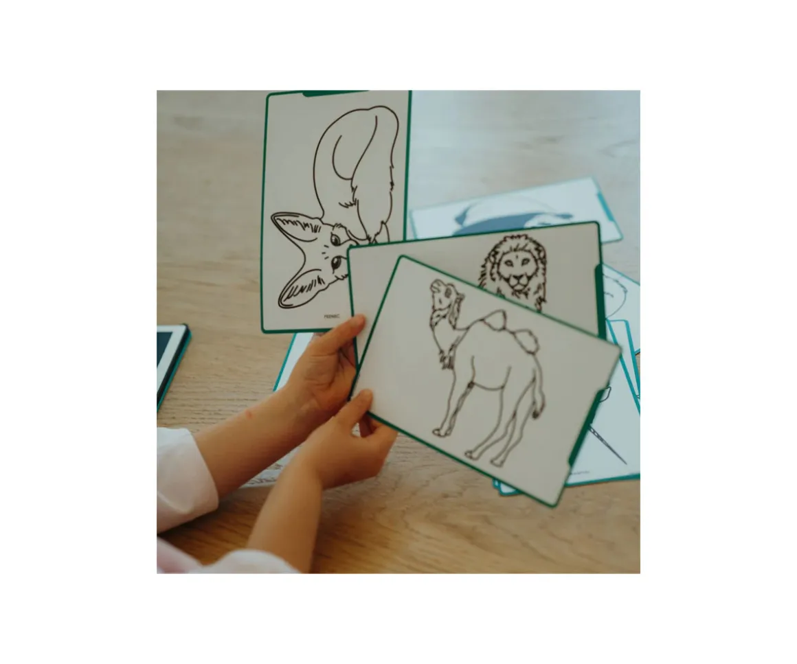 Kidydraw Mini Animaux du Monde