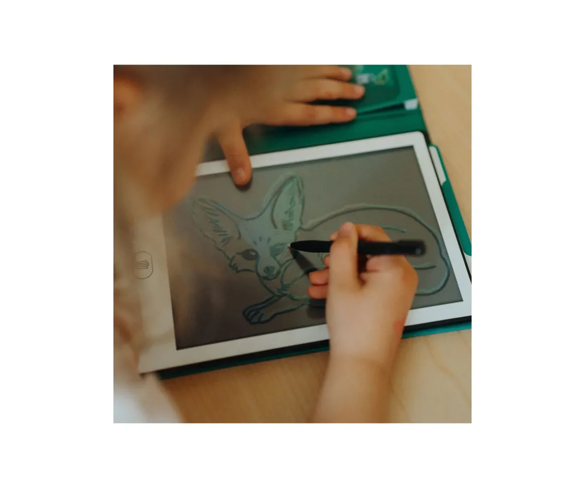 Kidydraw Mini Animaux du Monde