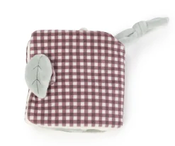 Libro Blandito Actividades León Gala Cerise