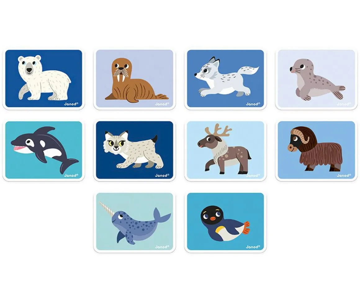 MagnetiBook Animales Polares