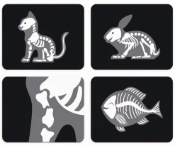 Maletín de Veterinario