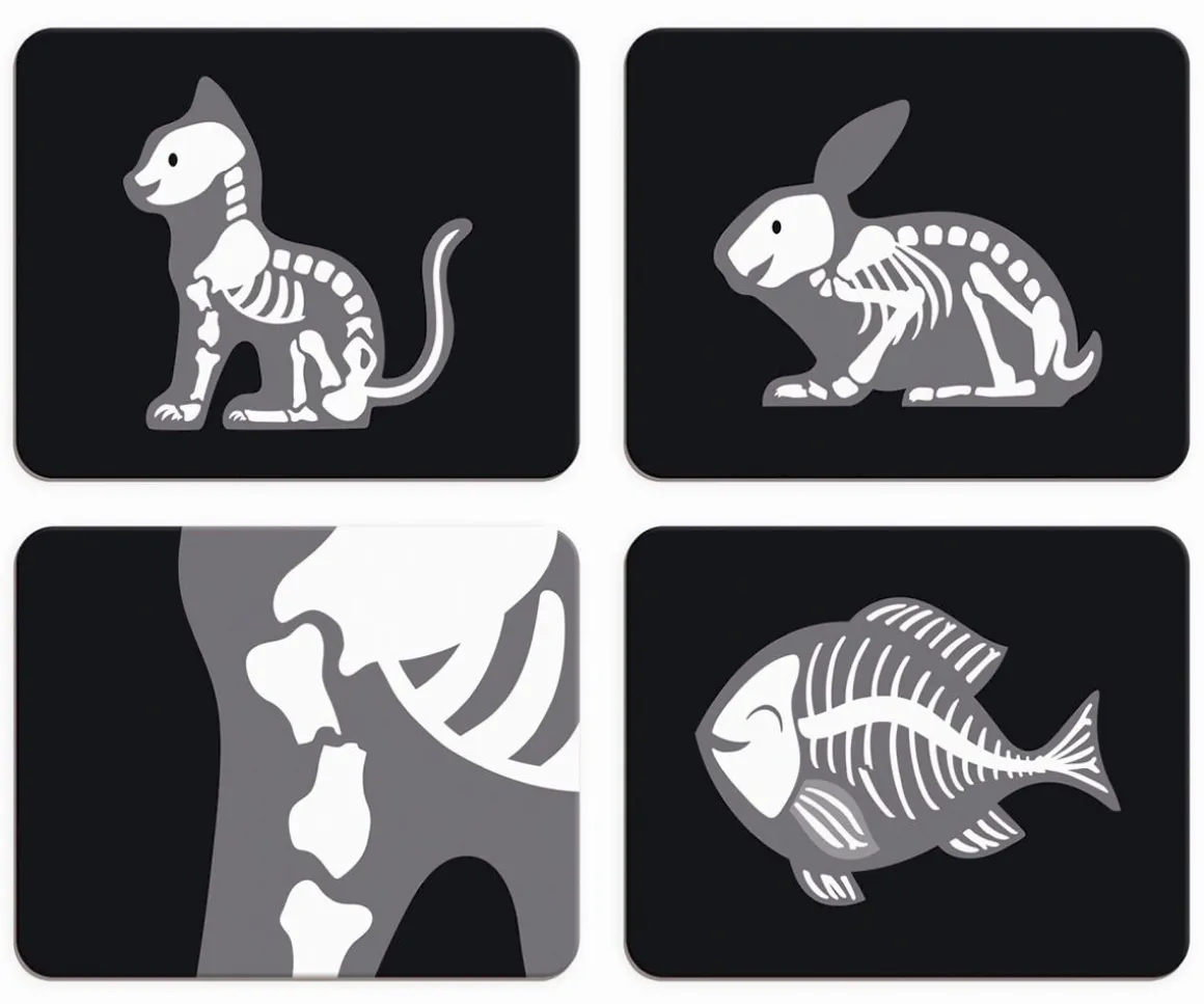 Maletín de Veterinario