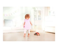 Mariquita Clasificadora de Formas