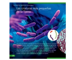 Microscopio Levenhuk LabZZ M101 Naranja + Libro Educativo