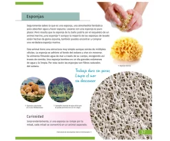 Microscopio Levenhuk LabZZ M101 Gris + Libro Educativo