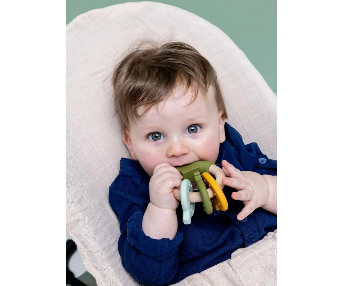 Mordedor de Actividades de Silicona y Madera Mr. Dino