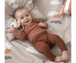 Mordedor y Sonajero Birdee Powder