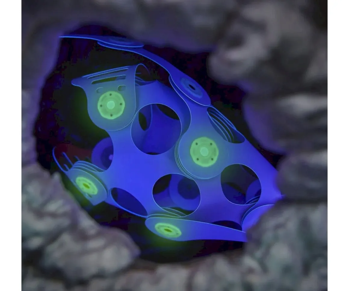 Pack Ocean Creatures 24 Piezas