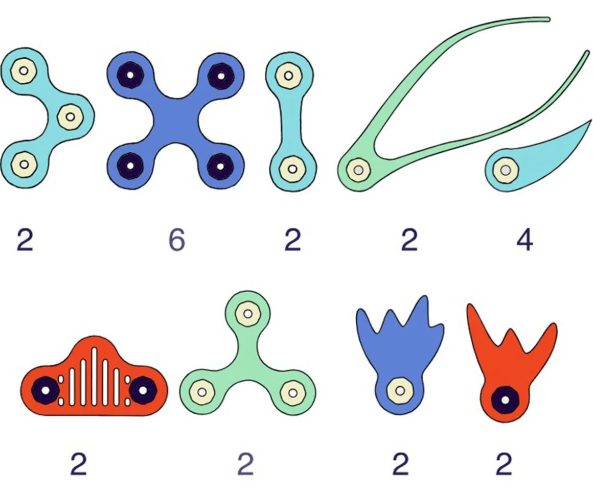 Pack Ocean Creatures 24 Piezas