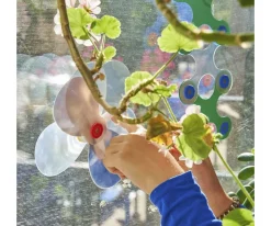 Pack Window 24 Piezas