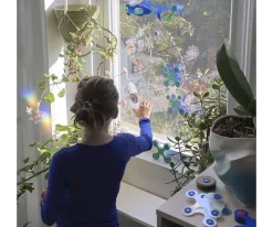 Pack Window 24 Piezas