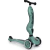 Patinete 2 en 1 Highwaykick One Forest