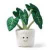 Peluche Alocasia Bonsai