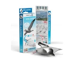 Puzzle 3D Eugy Royal Albatross