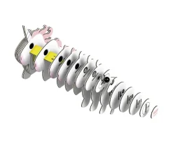 Puzzle 3D Eugy Unicorn