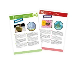 Set Microscopio con 15 Experimentos