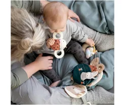 Sonajero Mordedor con Espejo Luca Ladybird