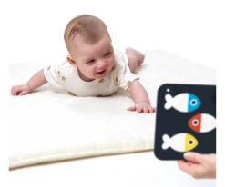 Tarjetas para Bebés High Contrast