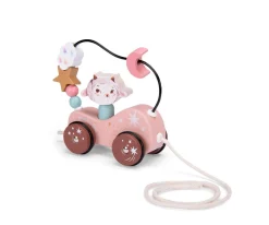 Tren de Actividades Arrastre Après la Pluie