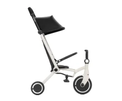 Triciclo Evolutivo Wonder Hueso