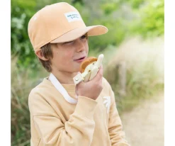 Zoo Walkie Talkie Bear / Bear