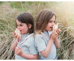 Zoo Walkie Talkie Dino Pink / Dino Pink